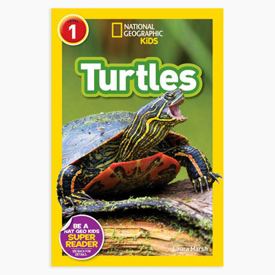 Turtle Kid's Book