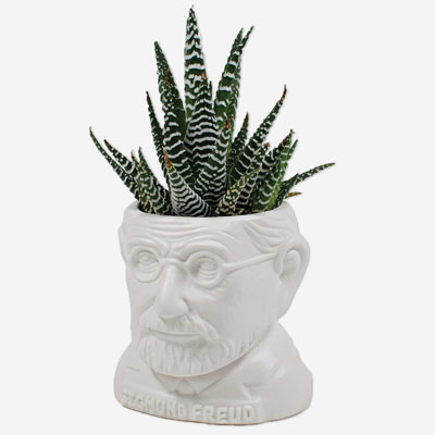 Freud Themed Planter