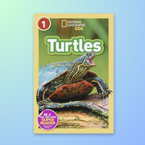 Turtle Kid's Book